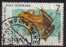 z vendido ESPAÑA 1975 2276 Sello V Fauna Hispánica Rana Roja Rana Temporaria usado Espana Spain Espagne Spagna Spanje Spanien 